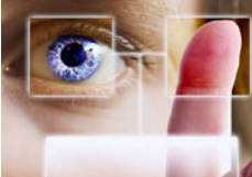 Our Vision
